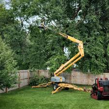 Grass Overseeding in Ship Bottom, NJ